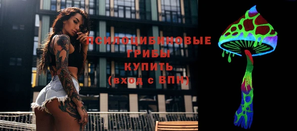 хмурый Кинешма