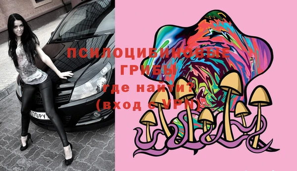 apvp Киренск