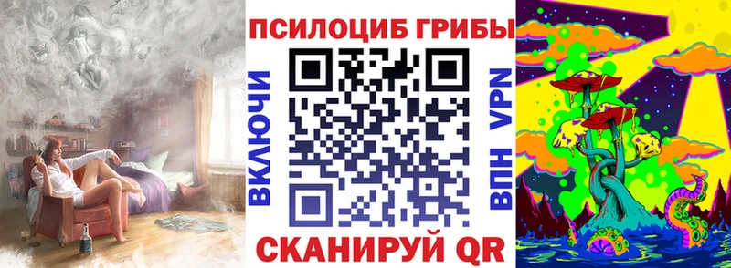 Галлюциногенные грибы Psilocybe  Удачный 